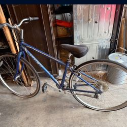 Two Trek bikes 