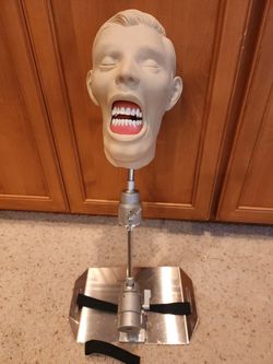 Dental X-ray Manakin