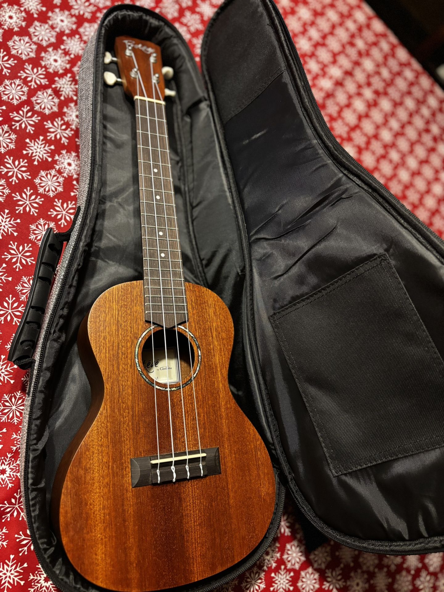 Protege (by Cordoba) U1-M concert ukulele