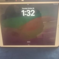 NICE IPAD iPad air 3  -64 gig wifi only  