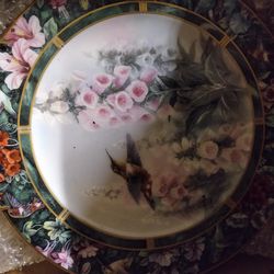 Beautiful humming bird plates collection