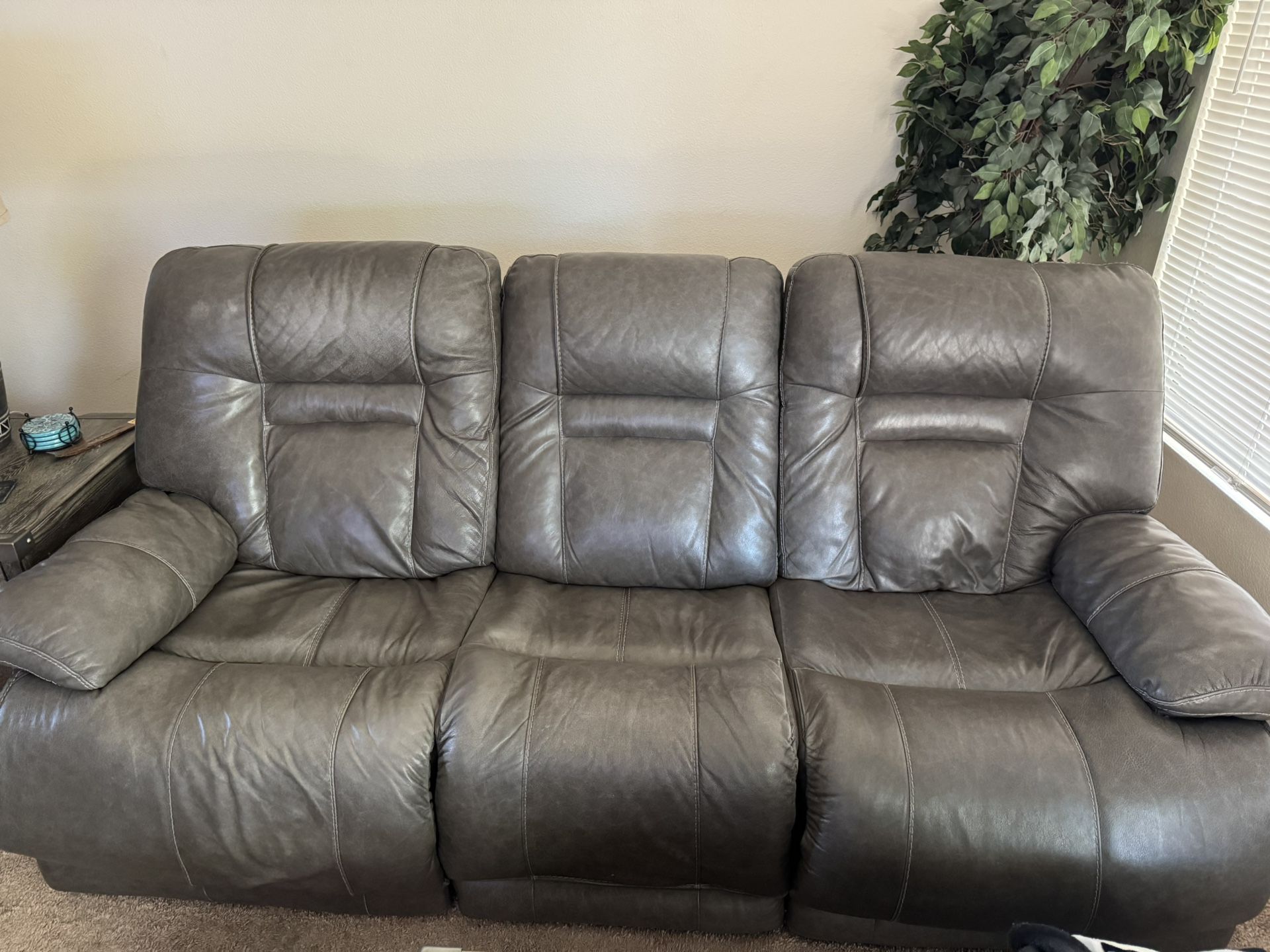 Leather Couches