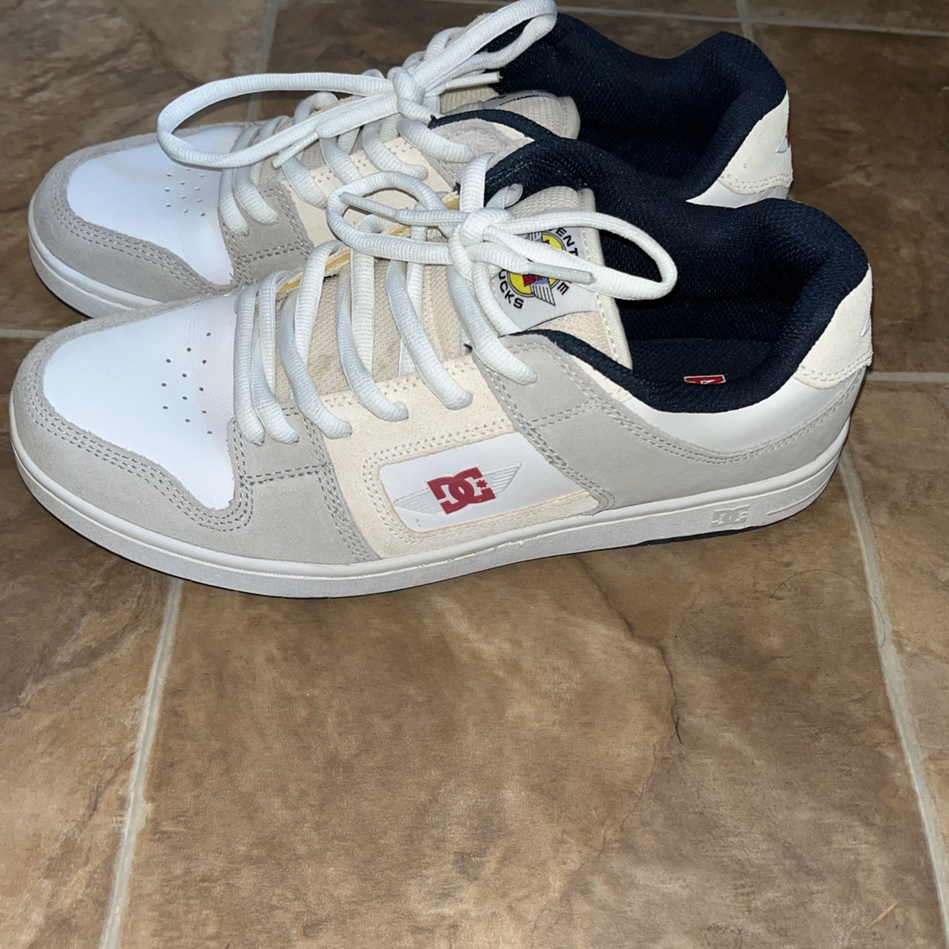 Venture Manteca DC Shoes