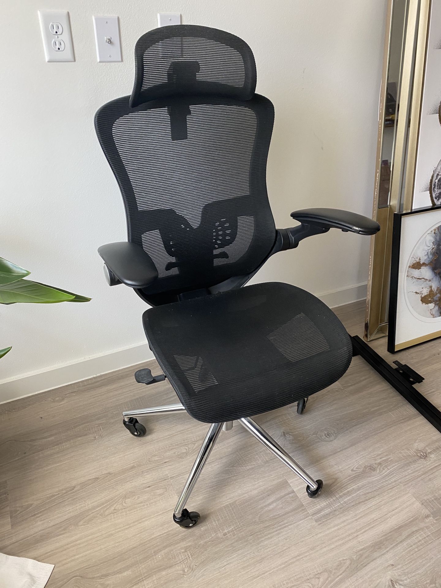 Ergonomic Office Chair