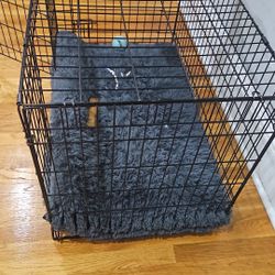 Dog case 
