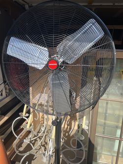 Fans