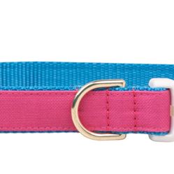 Toy Poodle  Collars 🐶 