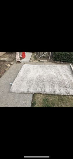 Shag rug (60$)