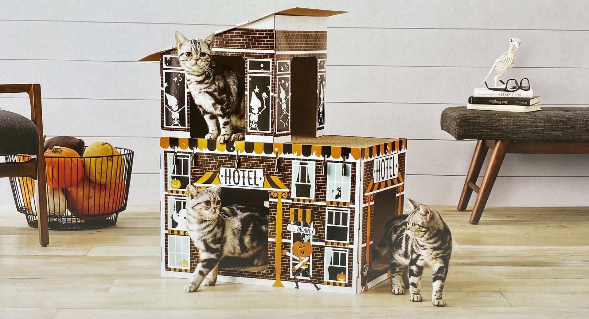 🐈NEW in box-HAUNTED HOTEL cardboard cat scratcher house-Hyde & Eek! Halloween 🎃 🏨