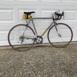 Bicycle. Trek