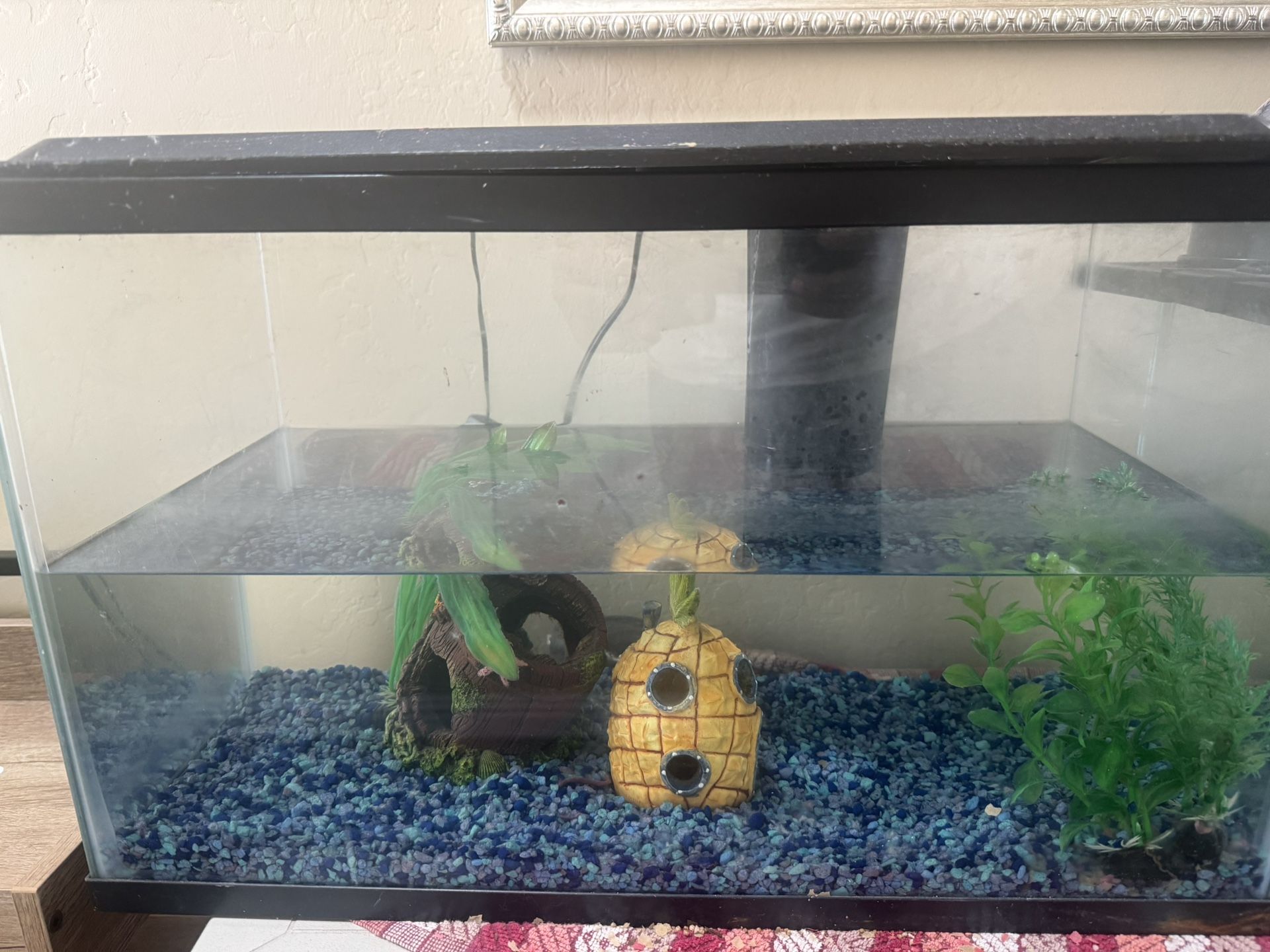 Fish Tank With Pump 