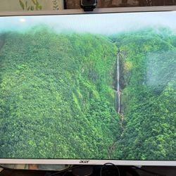 Acer EZ321Q – 31.5” Full HD IPS Monitor – 75Hz