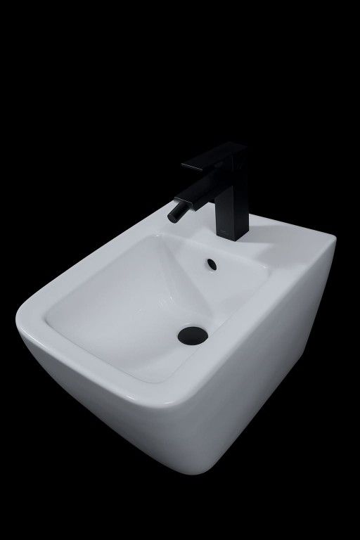 New Bidet. Bathroom Vanity