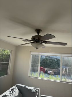 Avanico y lámpara de ceiling
