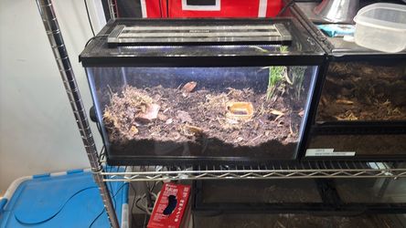 10 gal reptile tank