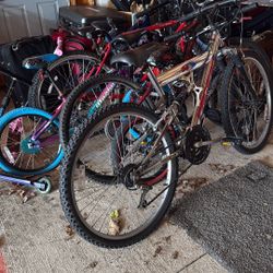 Many size bikes