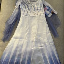 Frozen Costume