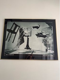 vintage  Dali Atomicus 1948 Art Print with frame