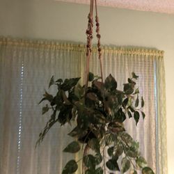 Hanging Fake Plant 