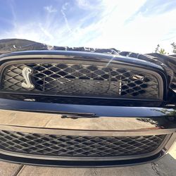 OEM 2014 Shelby upper grille