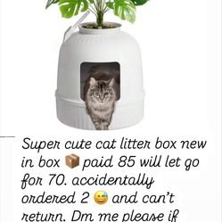 Cat Planter Litter Box 