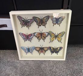 Butterfly Shadow Box Wall Art