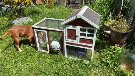 Indoor Rabbit Hutch