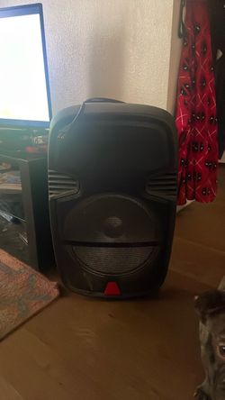 Speaker