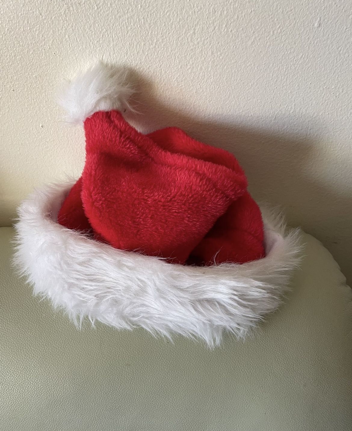 Christmas Hat
