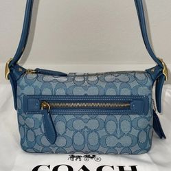 Demi Coach Bag 