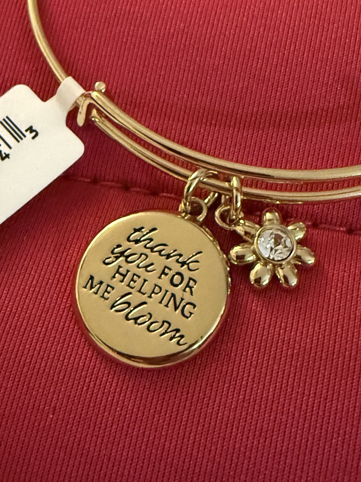 Alex And Ani Gold Bangle