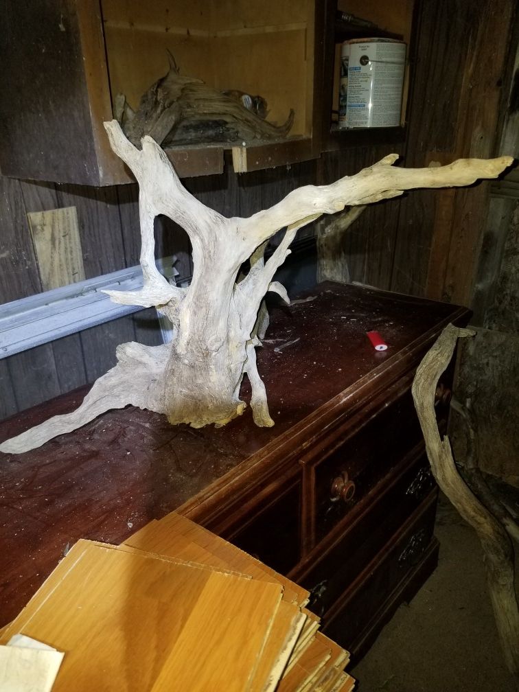 Fish/reptile Tank or garden/centerpiece driftwood