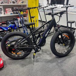 Electric Bike 
