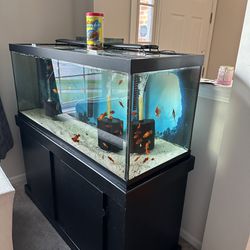 75 Fish Tank Aquarium 
