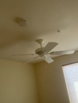 Ceiling fans and chandelier lights