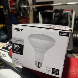 100W Light Bulbs 