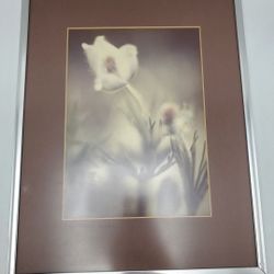 Ken Pecci Colorado Blues Framed Photograph