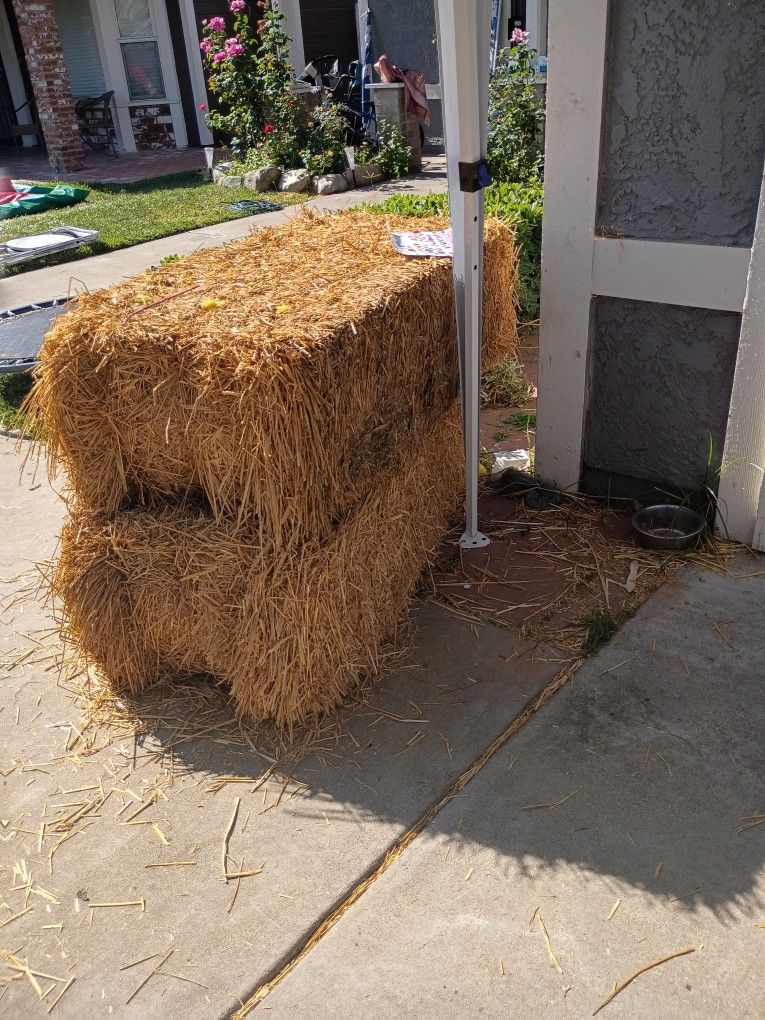 Hay / Straw Bales