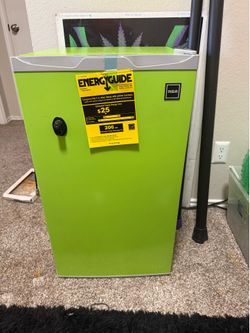 Personal refrigerator