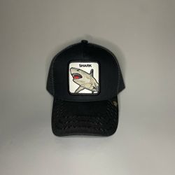 Animal Hats & Men Belts Top quality Cheap Price 