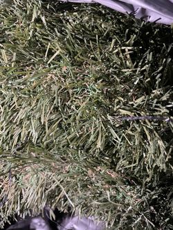 Artificial Grass Turf