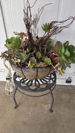 Succulents Arrangements. Stand Not Included. We are moving soon. Thank you for your interest
