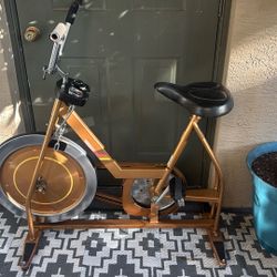 antique Exercise Bike