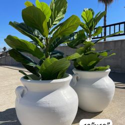 White Clay Planters 12”x13” (plants Not Included) $25 Each Pot 