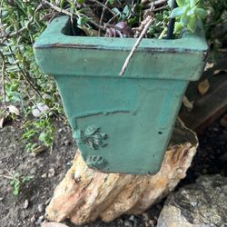 Ceramic Pot With Plant 