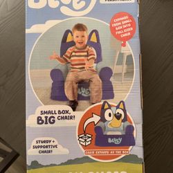 Bluey plush chair