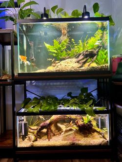 Aquarium stand