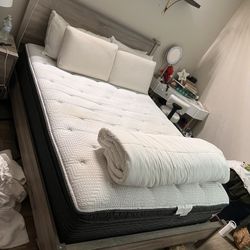 Queen Bed Frame 