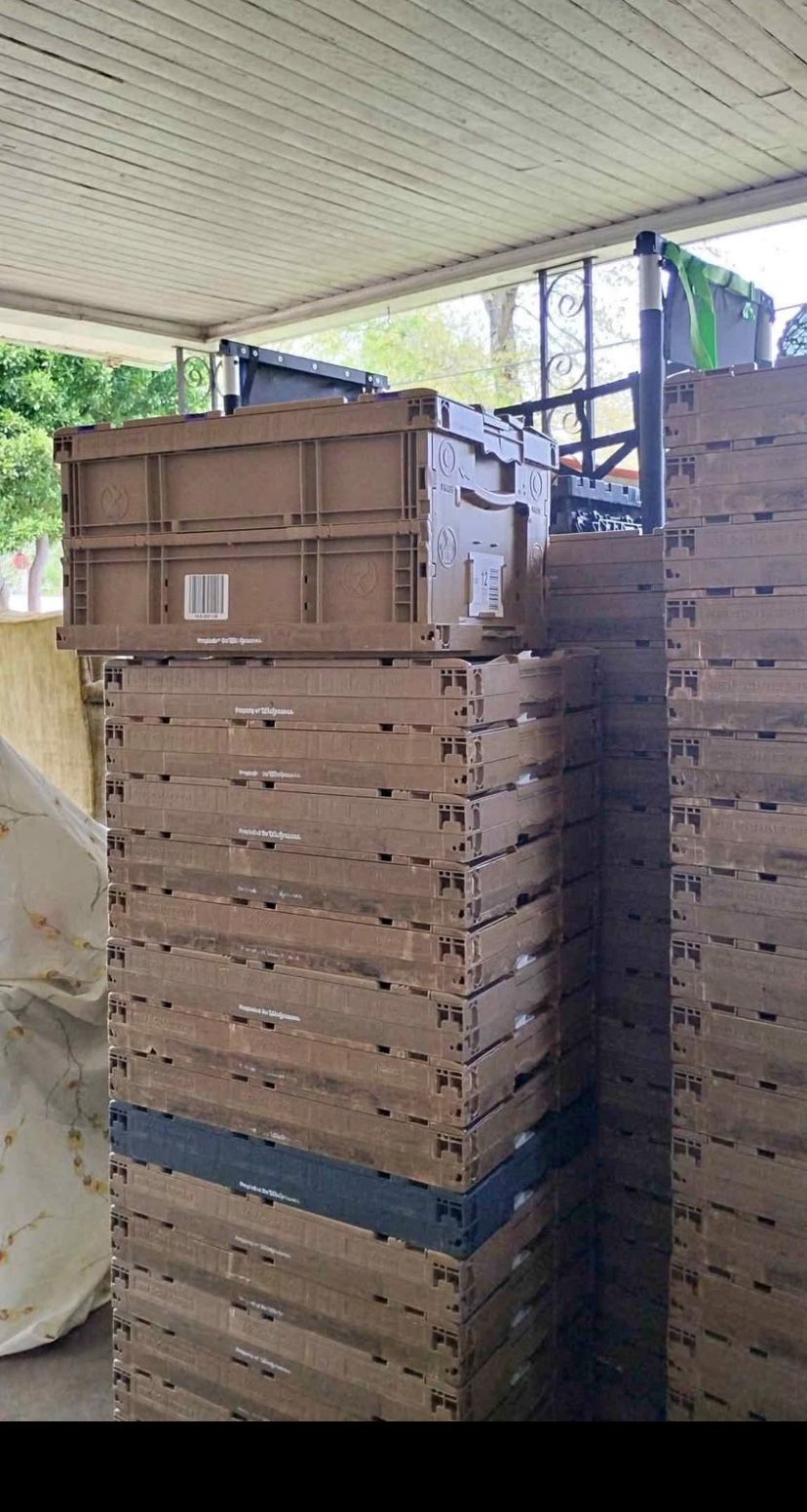 Foldable Storage Crates