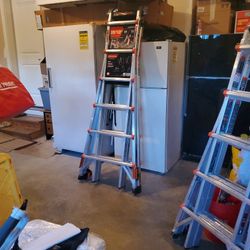 Little Giant Ladder 